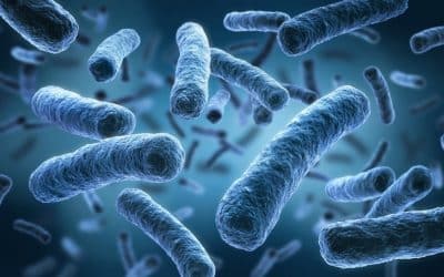 Book your free Legionella Risk Assessment